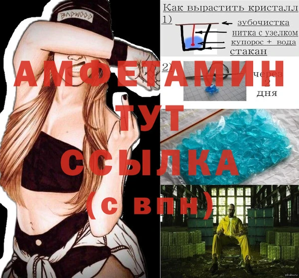 ПСИЛОЦИБИНОВЫЕ ГРИБЫ Козловка
